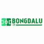 Bongdalu