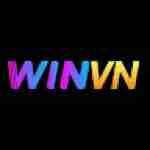 Winvn ai