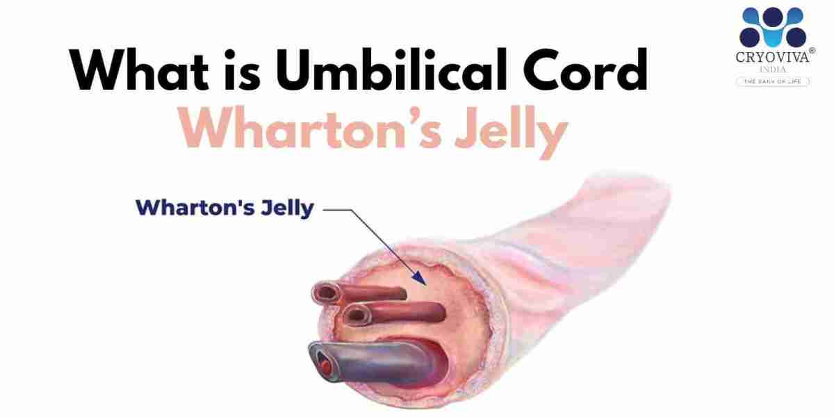 What are the Benefits of Wharton’s Jelly (WJ) Mesenchymal Stem Cells?