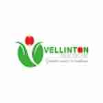 vellinton healthcare