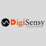 Digisensy - Digital Marketing Agency