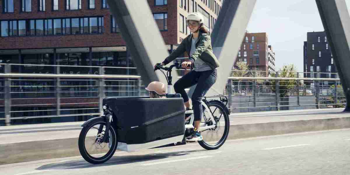 Cargo Bike Market Regulations and Competitive Landscape Outlook, 2024 to 2033