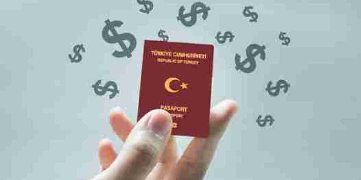 الحصول على الجنسية التركية 2024