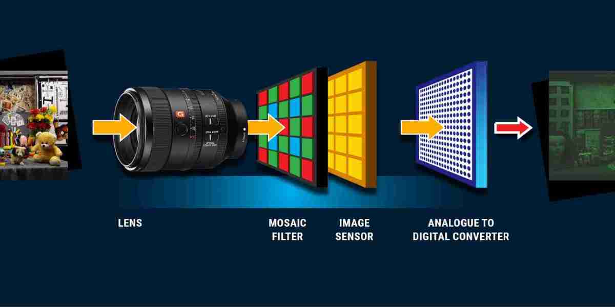 Image Signal Processor Market Strategies and Growth Forecast by 2031