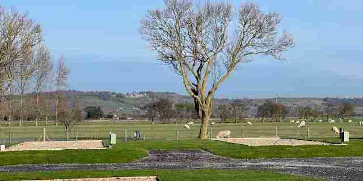 Unwind and Explore: Discovering Orchard Views Holiday Park