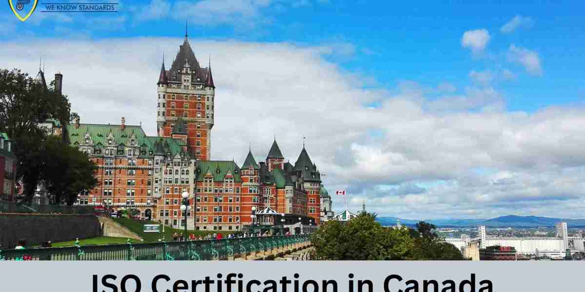 What support mechanisms are available for Canadian businesses seeking ISO certification?