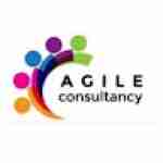 Agile Consultancy