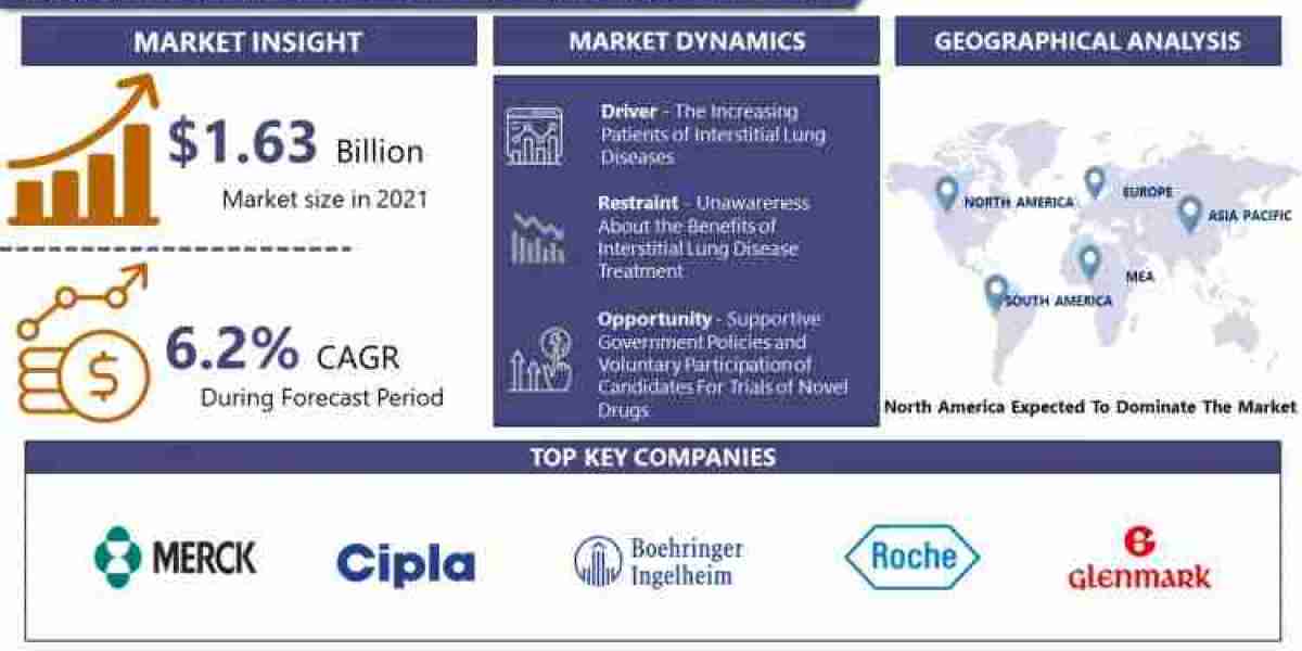 Interstitial Lung Disease Treatment Market Size Survey, with Top Countries Data, Industry Overview - 2030 | IMR
