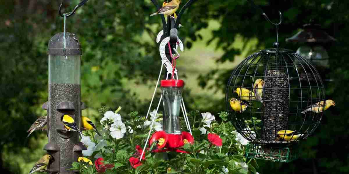 The Ultimate Guide to Choosing the Perfect Bird Feeder for Your Garden