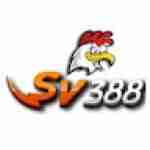 Sv388 casini