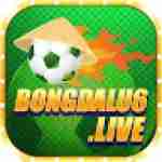 bongdalu live1