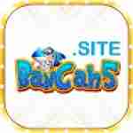 BancaH5 site