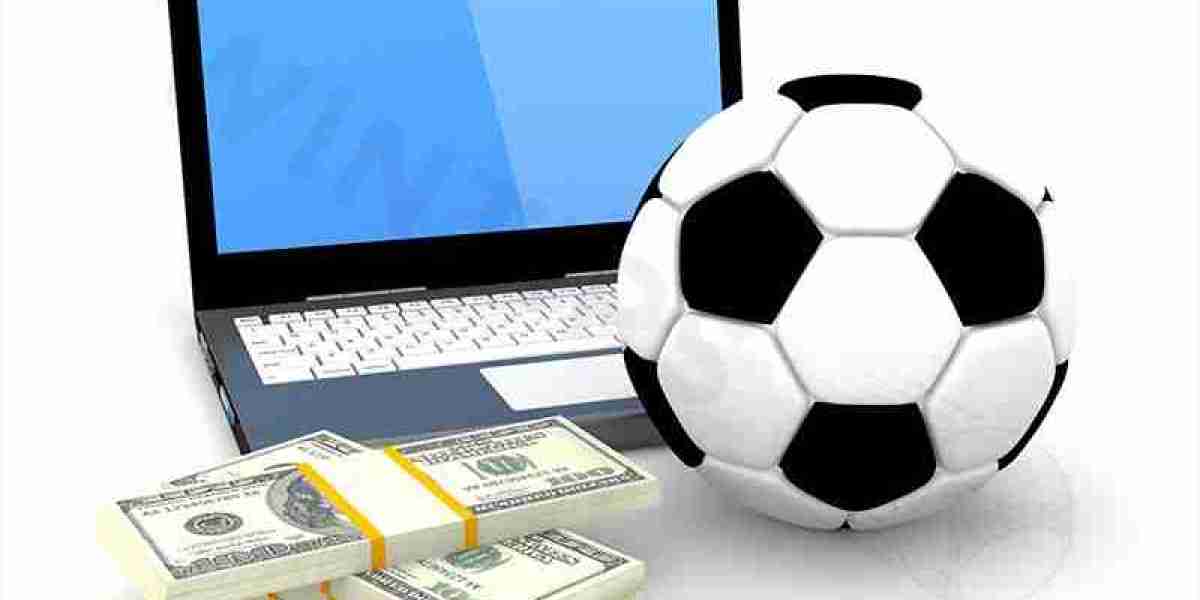 Top-Rated Online Bookmakers of 2024: A Comprehensive Ranking