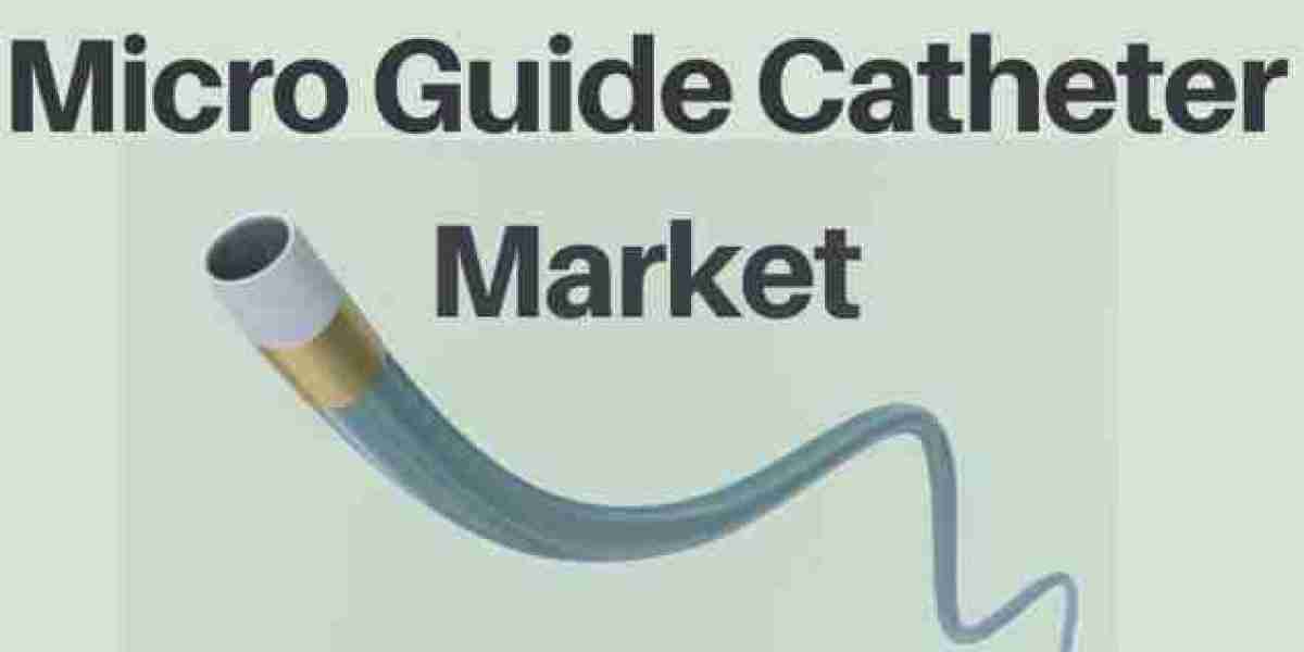 Micro Guide Catheters Market | Global Industry Trends, Segmentation, Business Opportunities & Forecast To 2032