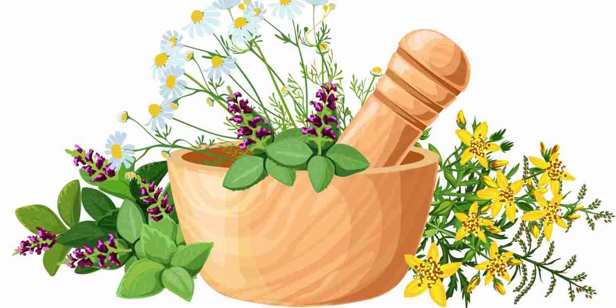 Homeopathic Clinics: Why Are They Gaining Popularity for Health Solutions?