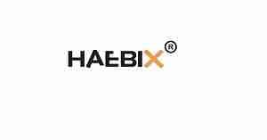 haebix group