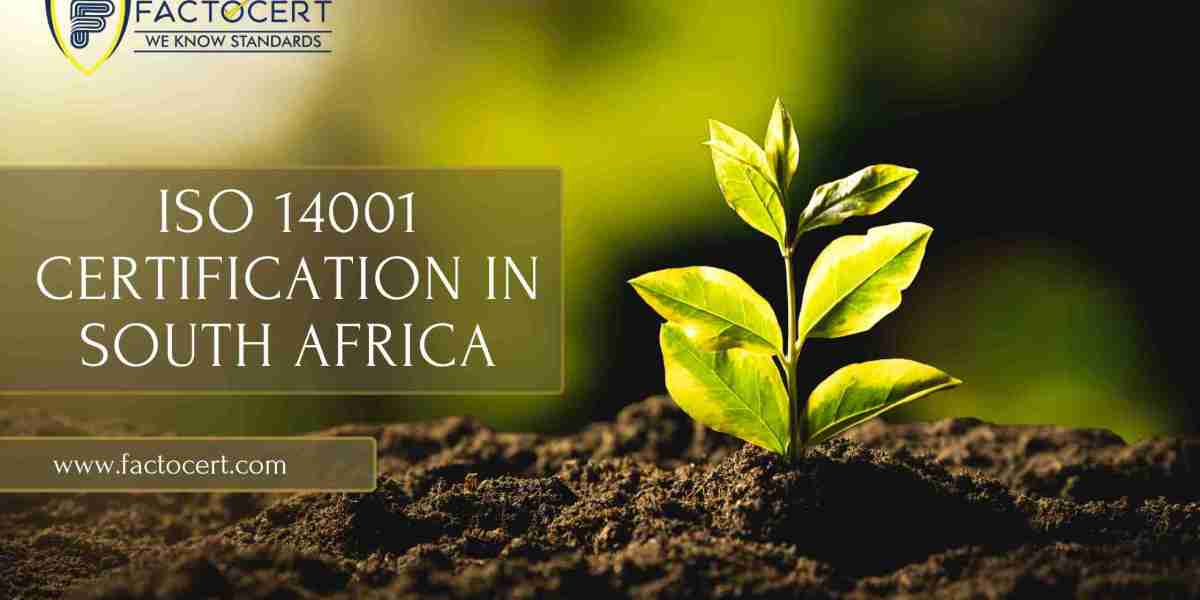 What is the Process of ISO 14001 Certification in South Africa