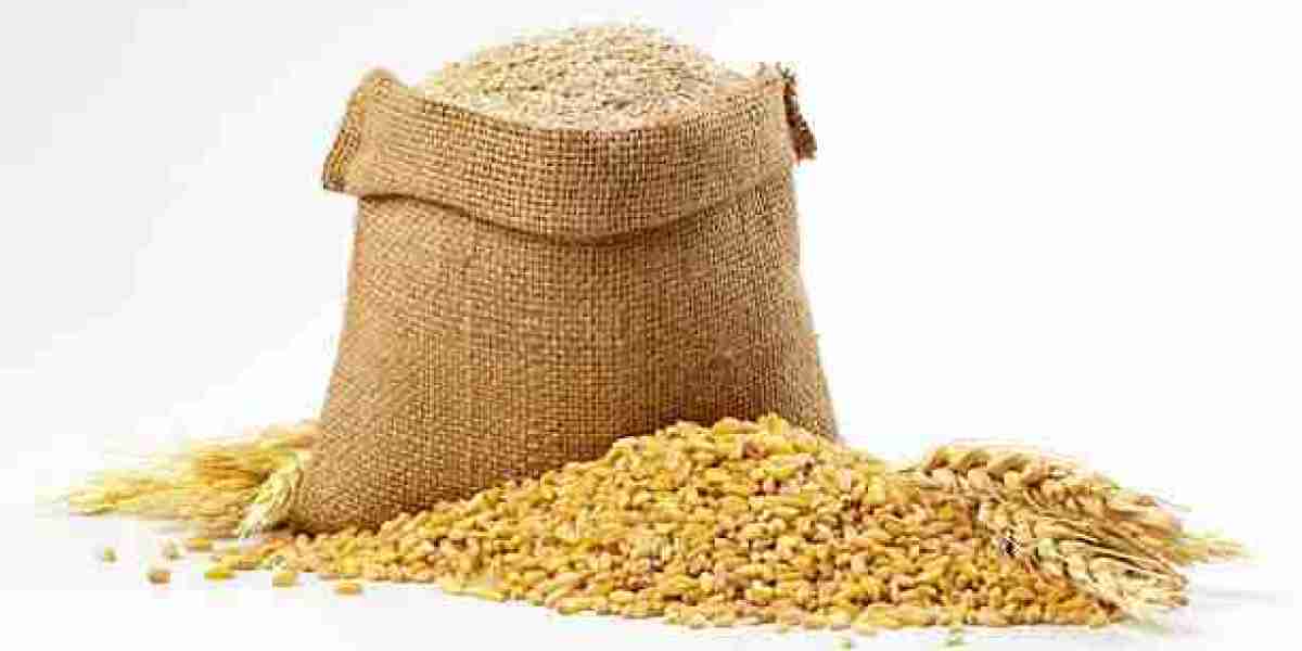 Wheat Seeds Buy Online - IFSA Seeds