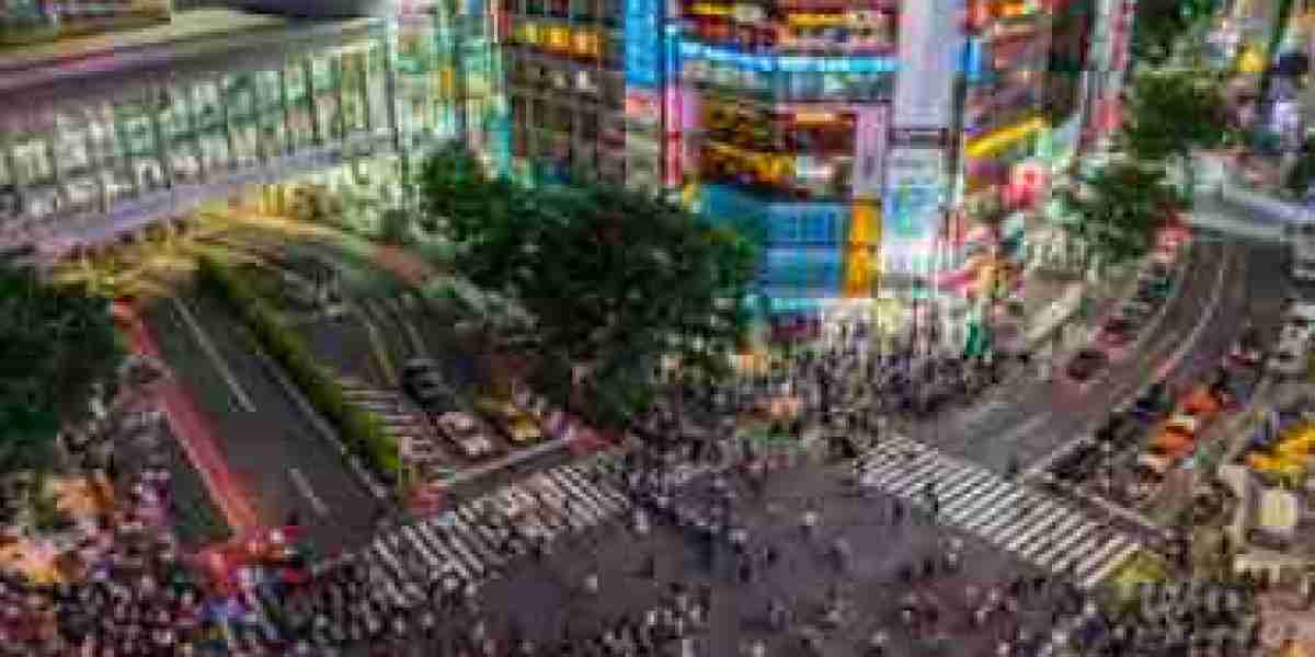 Tokyo Private Tours: A Personalized Exploration of Japan's Capital