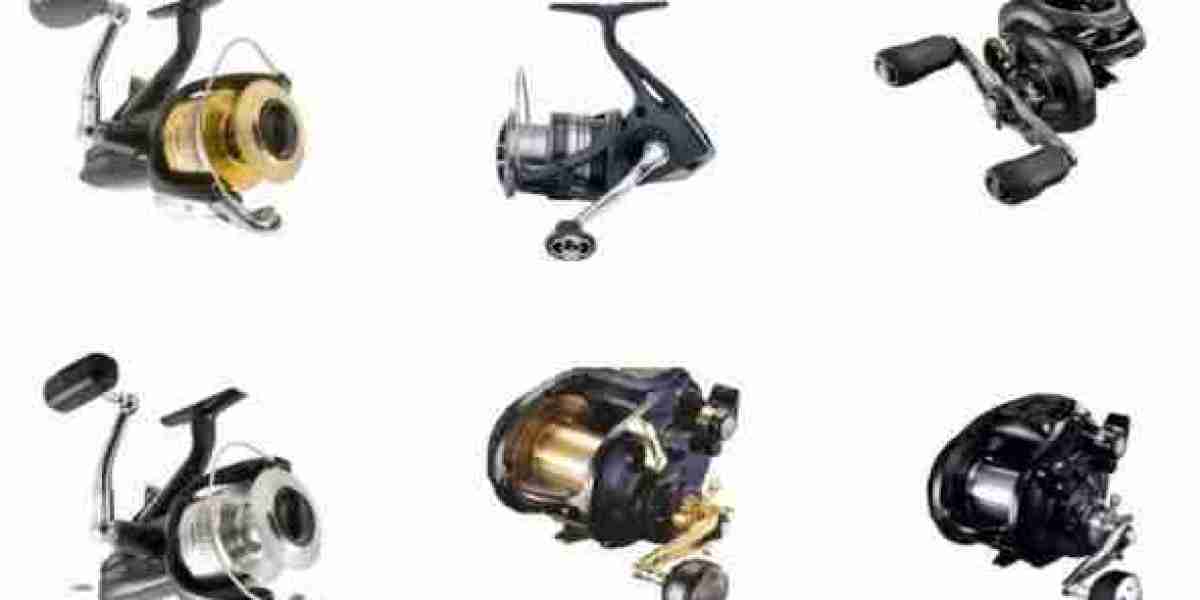 Reel in the Best Deals on Shimano Baitrunners at Mossops Tackle Shop Brisbane!