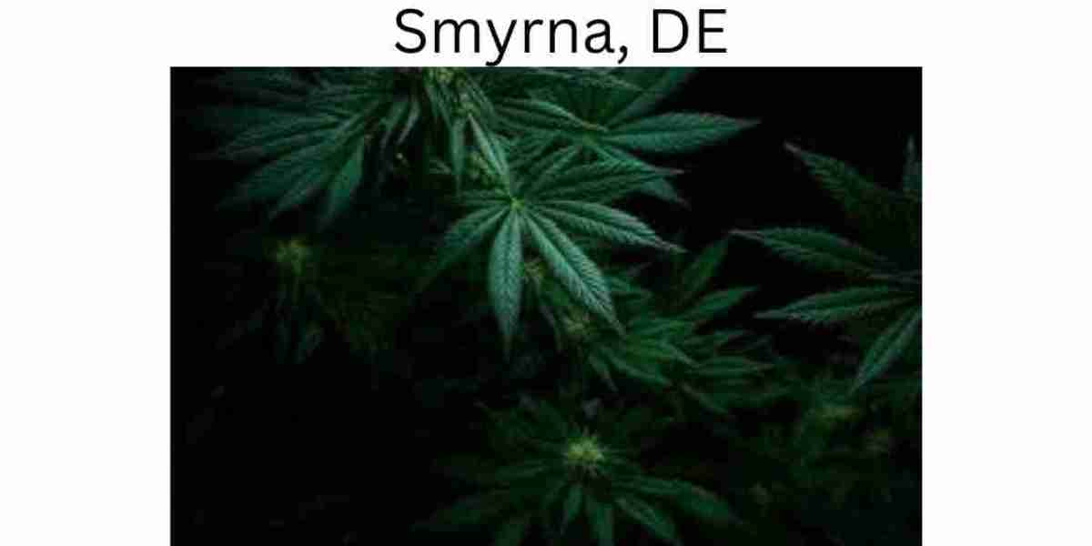 Unveiling the Top Weed Dispensaries in Smyrna, DE