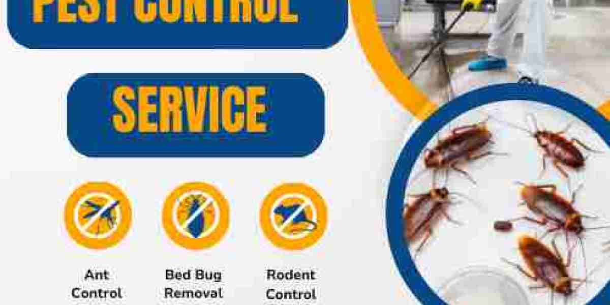 Ridding Torquay of Pests: Reliable Pest Control Services