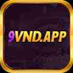 9vndapp 9vndapp