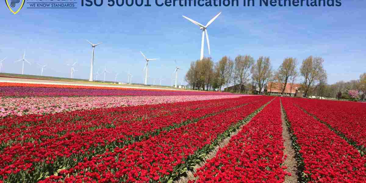 What are the renewal requirements for ISO 50001 Certification in the Netherlands?