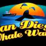 sdwhale watch