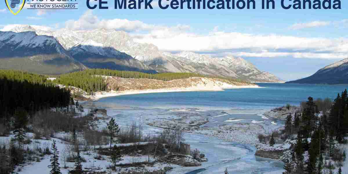 How can a Canadian company verify if a product meets CE Mark standards?