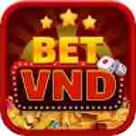 betvnd game