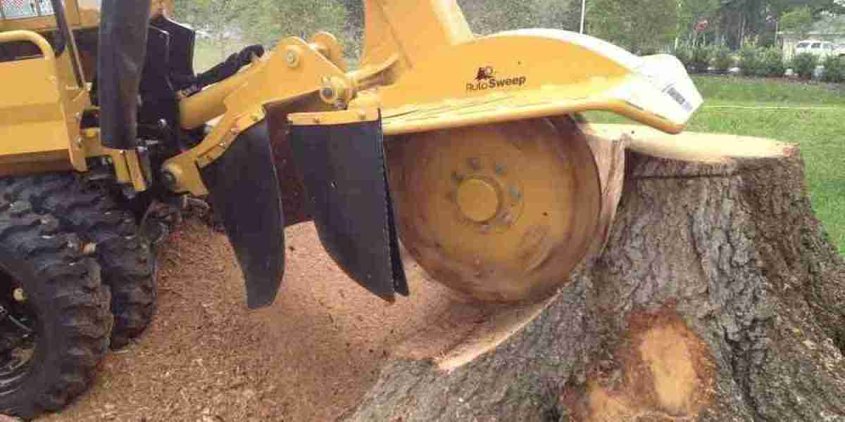 The Importance of Stump Grinding in Landscaping and Property Maintenance