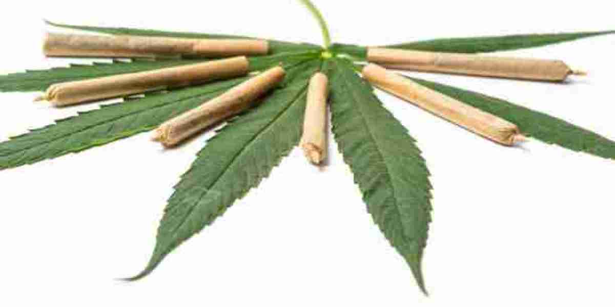 Europe Herbal Cigarettes Market Application, by Type, Consumption, Key Driven, Regional Revenue, Forecast