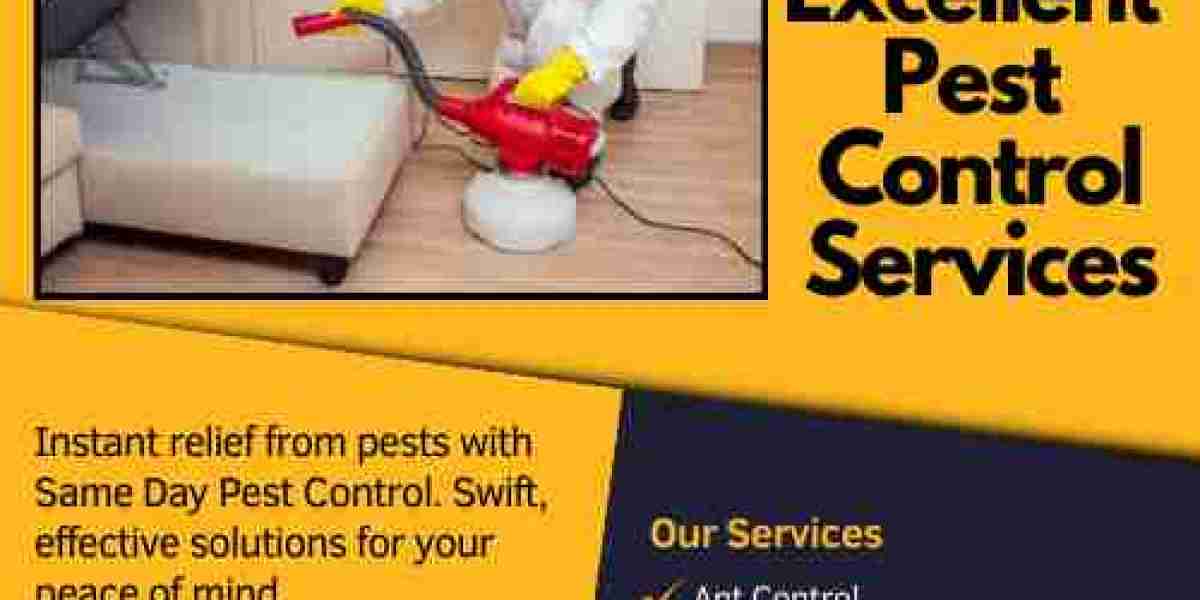 Defend Your Home: Pest Control Carlton Solutions