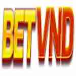 Betvnd net