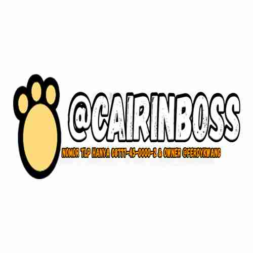 cairin boss