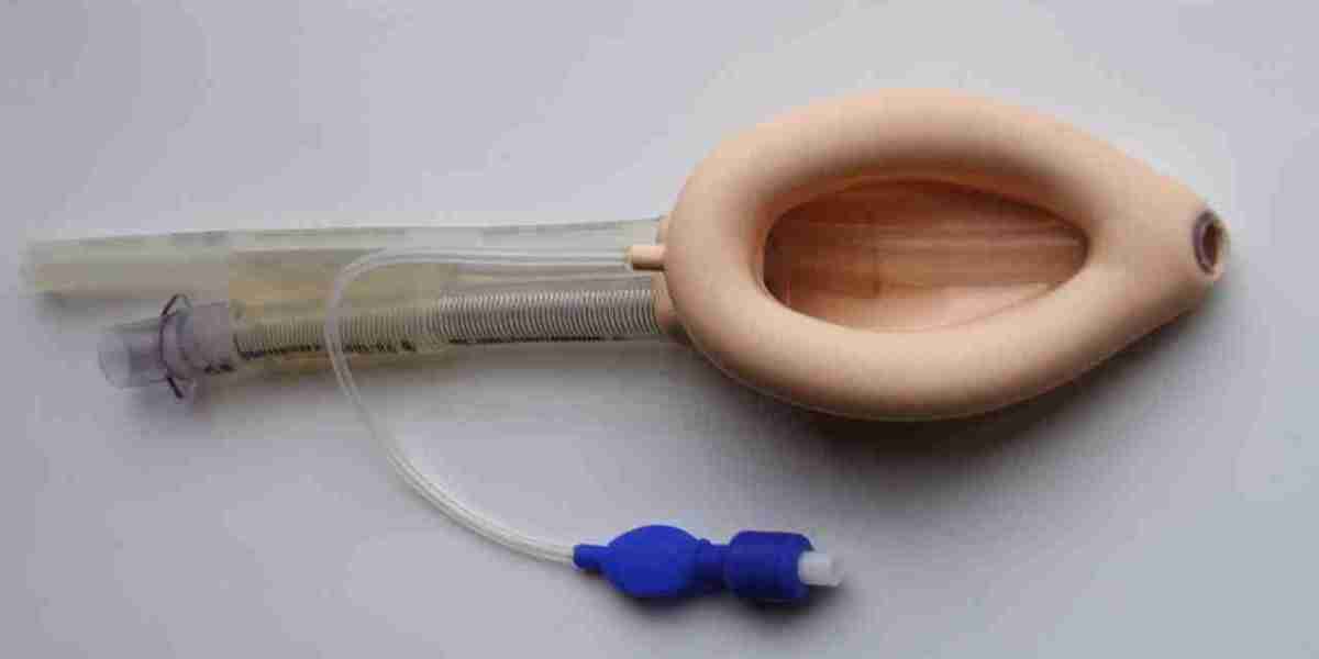 Laryngeal Mask Market Share, Trends, Overview - 2031