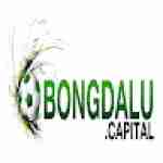 Bongdalu Capital