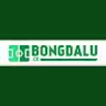 bongdalu resistancerecess