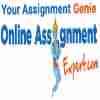 onlineassignmnet expert