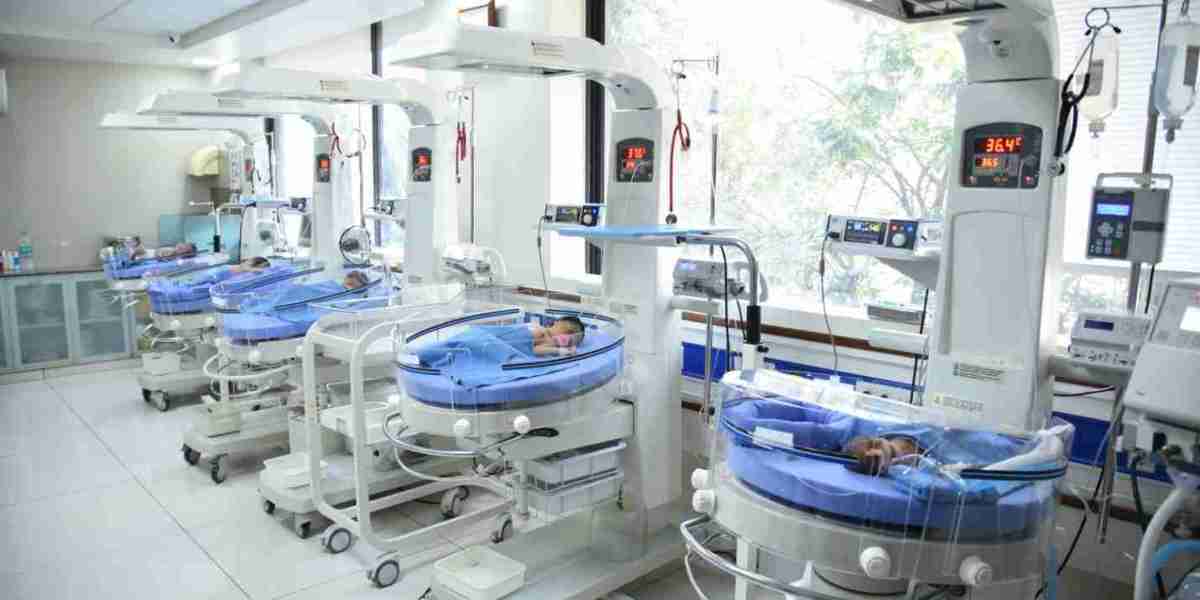 Evolving Dynamics: Neonatal Critical Care Equipment Industry Analysis