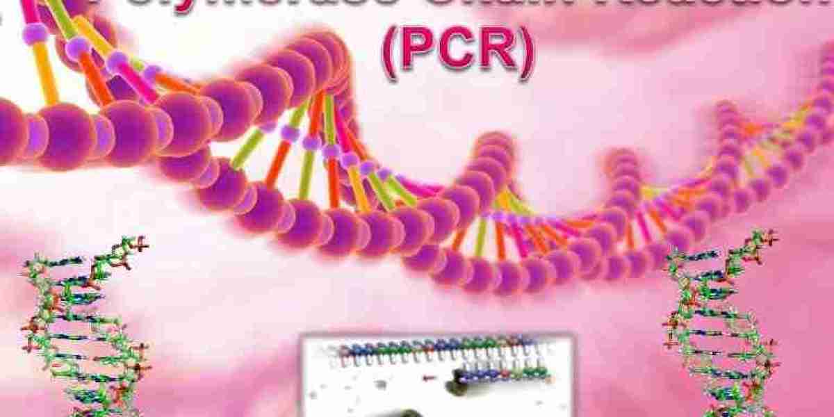 Polymerase Chain Reaction Market Size, Growth & Industry Research Report, 2032