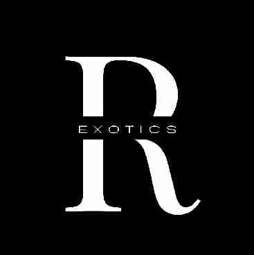 Roma Exotics