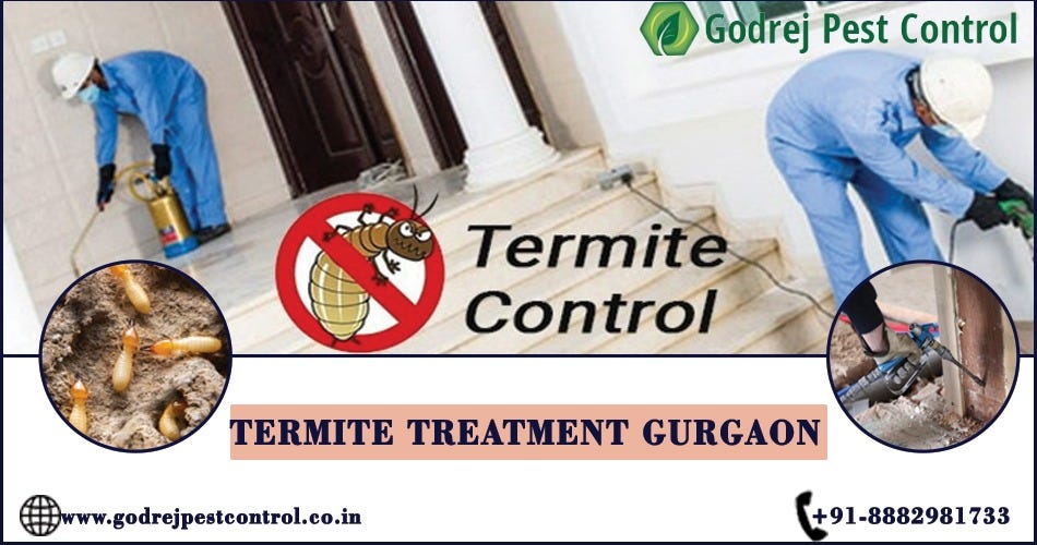 Godrej Pest Control: Your Trusted Partner in Termite Treatment Gurgaon | by Godrej Pest Control | May, 2024 | Medium