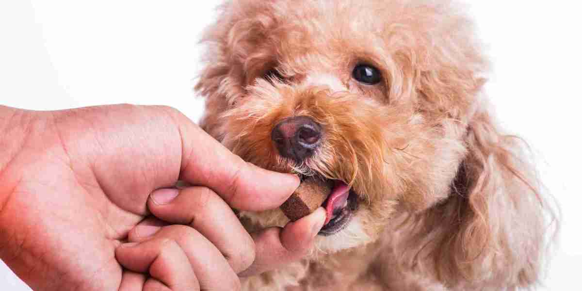 Pet Supplements Market Will Hit Big Revenues In Future | Biggest Opportunity Of 2024