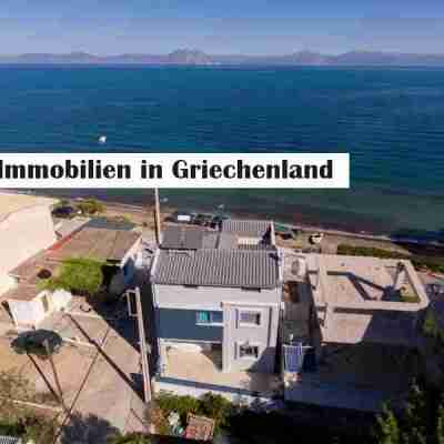 Immobilien in Griechenland Profile Picture
