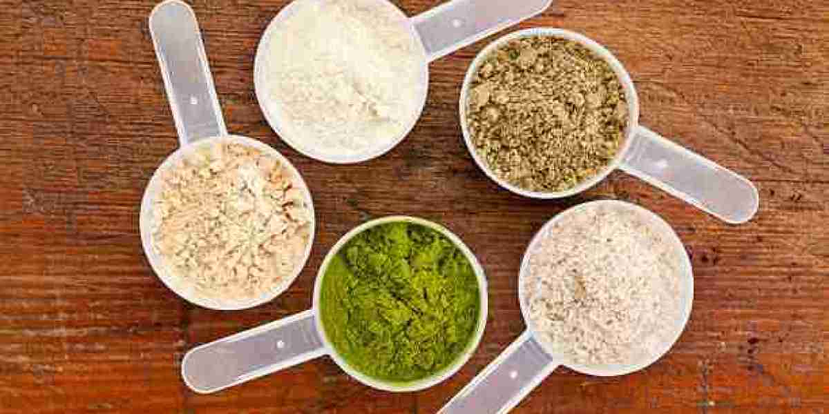 Germany Protein Supplements Market Revenue Segmentation, Outlook, Key Vendors Report