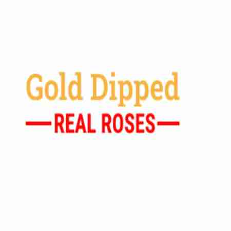 Gold Dipped Real Roses