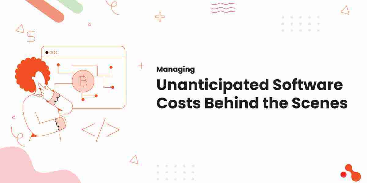 Managing Unanticipated Software Costs Behind the Scenes