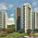 Panchkula Projects Chandigarh